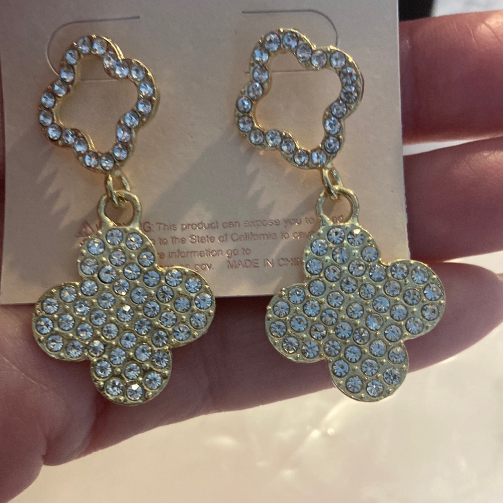 Earrings NWT